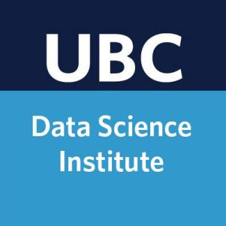 dsi logo