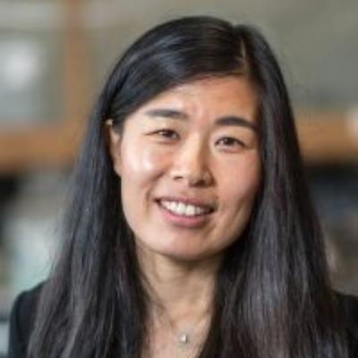 Headshot of Dr. Wenying Liu